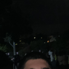 Ashton Gravori