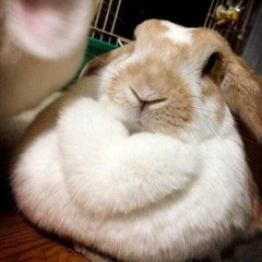 :P