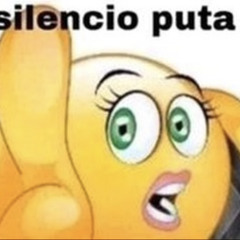 fuck you bitch with music