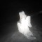 Angel_InChrome