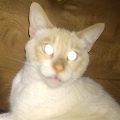 VahO