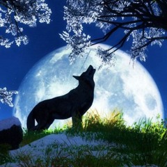 タチ *tachi* (Tati)