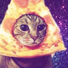 KITTAC4TL0VER!