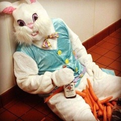 unicorn_dj