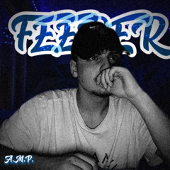 Feeder