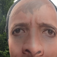 v.a.n.i.a