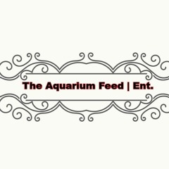 The Aquarium Feed | Ent.