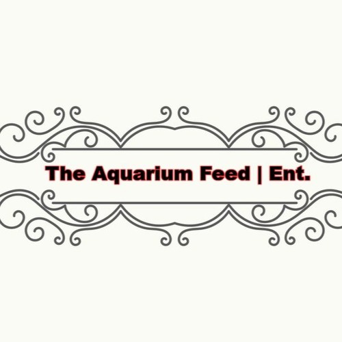 The Aquarium Feed | Ent.’s avatar