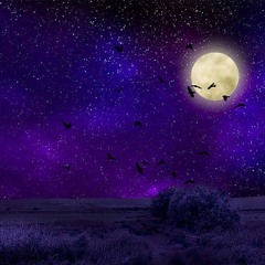 Luna-Eliza-Afton