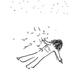 cosmos