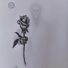 Donia Anour
