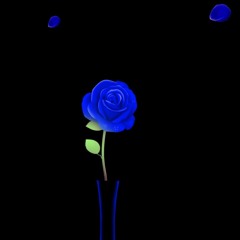 🇲 (85:05)