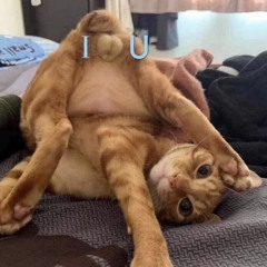 meomeodomdom