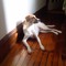 Please view me and read my bio thanks!