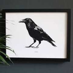 Black Vessel