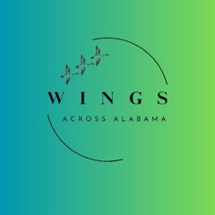 Wings Across Alabama Music For Your Mind