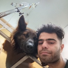 Javad Behzadi