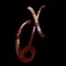 crossx6