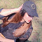 Mahnoor