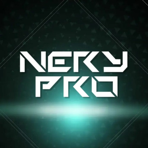 Nery Pro — artist photo