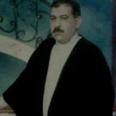 Mostafa Al Shref Alshref