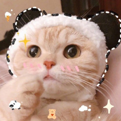 你的Norby