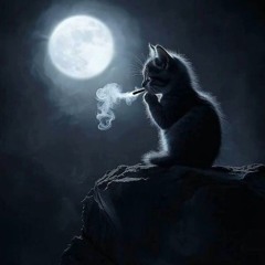 LEAKED SONGS (@TOMORXO)