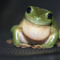 Froggy