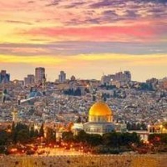 جهاد محمد