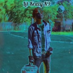 Lil Krazy K9