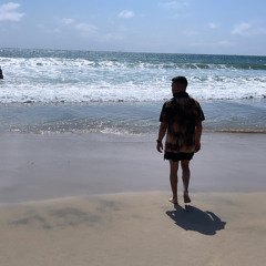 Aaron Vega