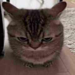 lói xa lói gần tất nhiên tui cần coá em