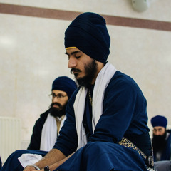 Ranjit Singh (Dylan Toor)