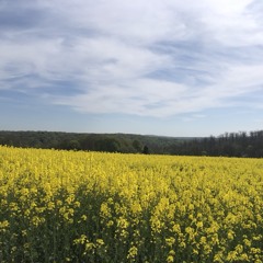 Ar