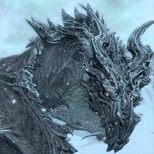 dragon lord 3987’s avatar