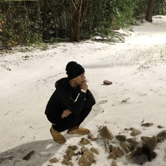 joaquindieslit