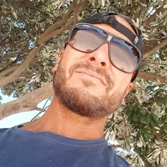 Timur Yarar