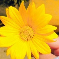 سبحان الله