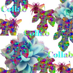 Collab Official
