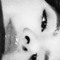°”✗ⁱ𝘩ǟ𝙣”°