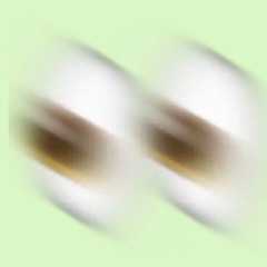 Epolar02