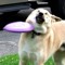 lunapowpow