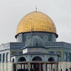 saja abukhadra