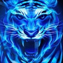 luffy the pirate king