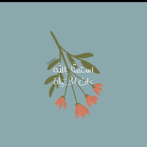 مقتطفات نبيل العوضي 💛🌼