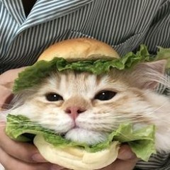 Olivercat