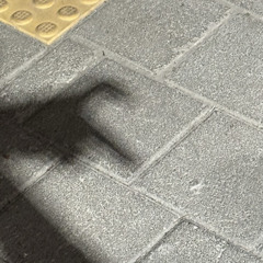 si0oo