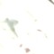 DEA