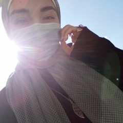 Walaa S. Assi