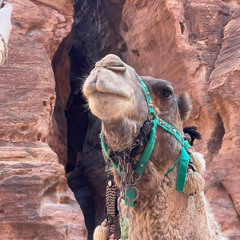 Kareem Al Khatib